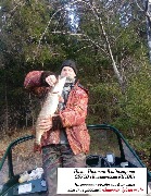 ������� ����� ���