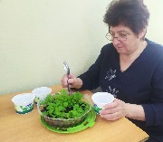 ��������