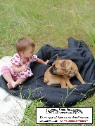 � �� ���� ������