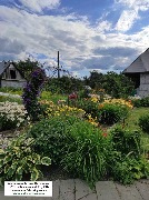 ��� ����� ���� 2