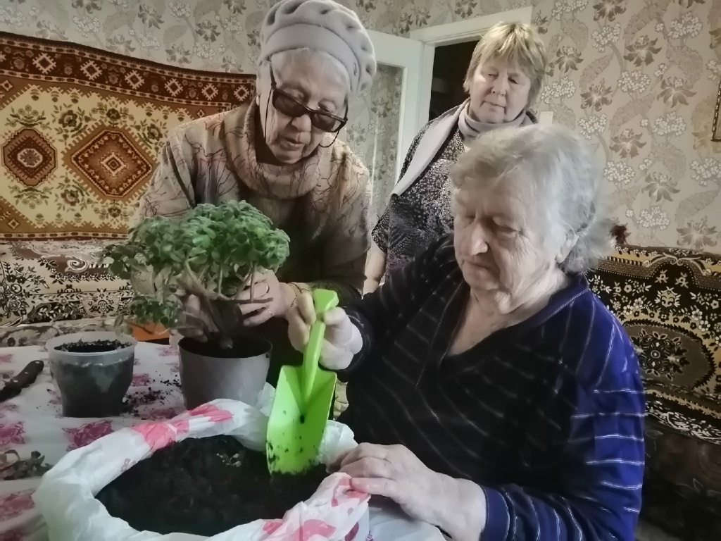 3ZDOcyZzcVo.jpg 3ZDOcyZzcVo.jpg