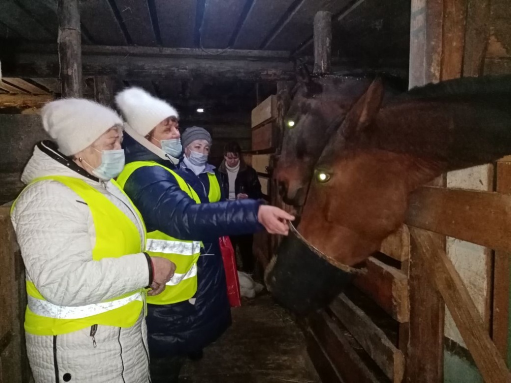 image-2021-12-02 15_36_41.jpg